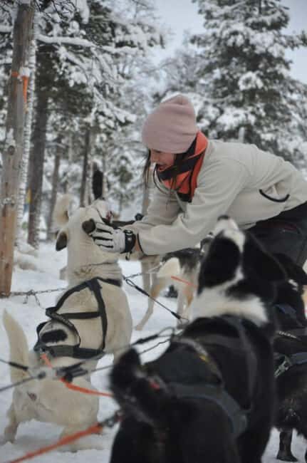Levi: Meet Reindeer and Visit Husky Kennel - Practical Details and Tips