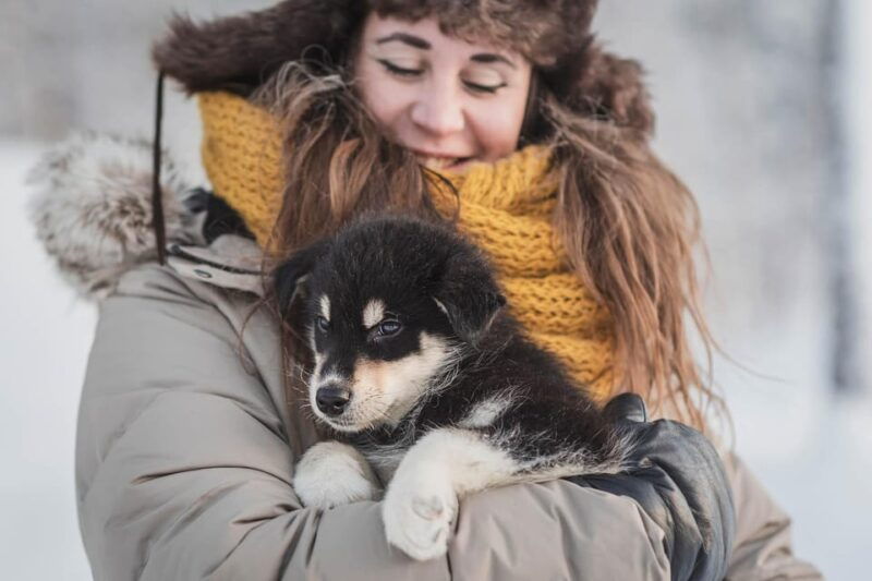 levi-nature-walk-with-huskies