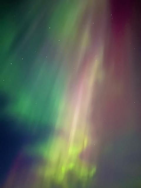 levi-northern-lights-adventure-in-the-wild-campfire-treats