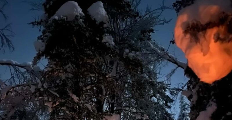 levi-northern-lights-adventure-in-the-wild-campfire-treats