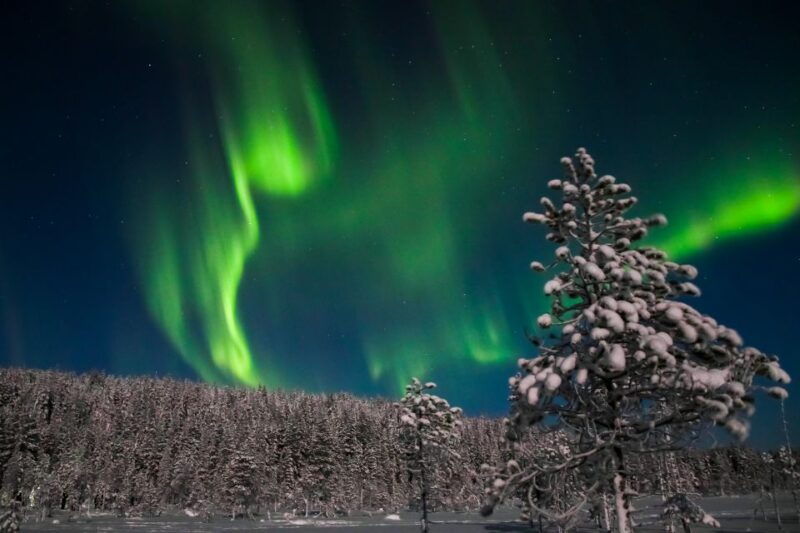 levi-northern-lights-campfire