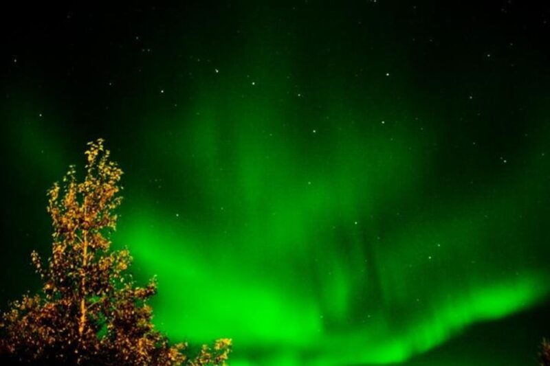levi-northern-lights-hunt-including-campfire-snacks
