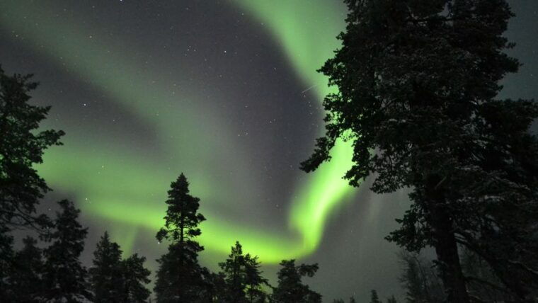 levi-northern-lights-snowmobile-tour-with-snacks-and-drinks