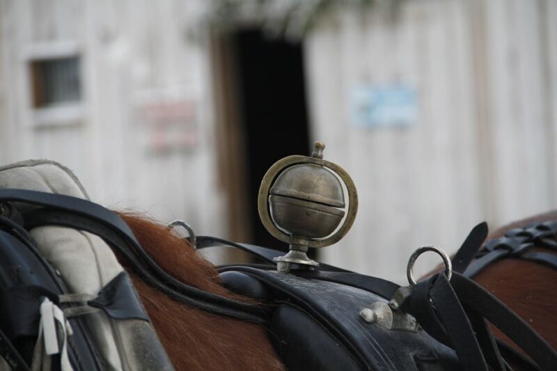 Levi: One Horse Open Sleigh Ride - Key Points