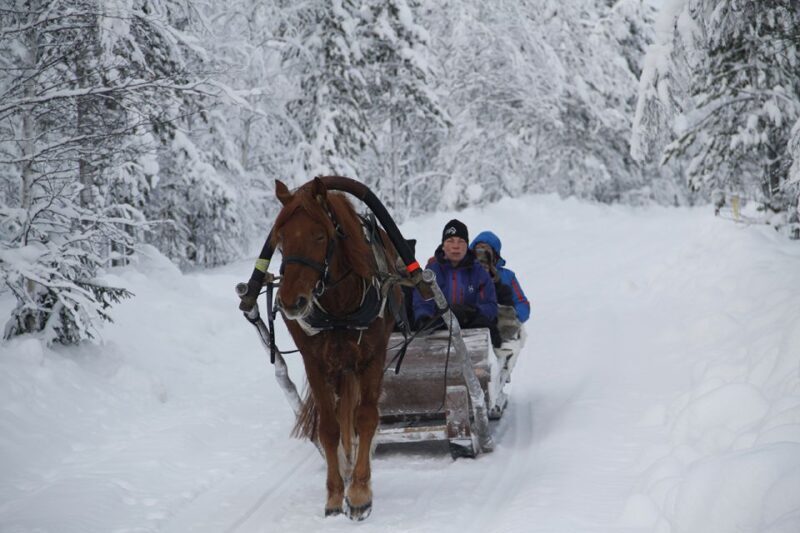 Levi: One Horse Open Sleigh Ride - An In-Depth Look at the Levi: One Horse Open Sleigh Ride Experience