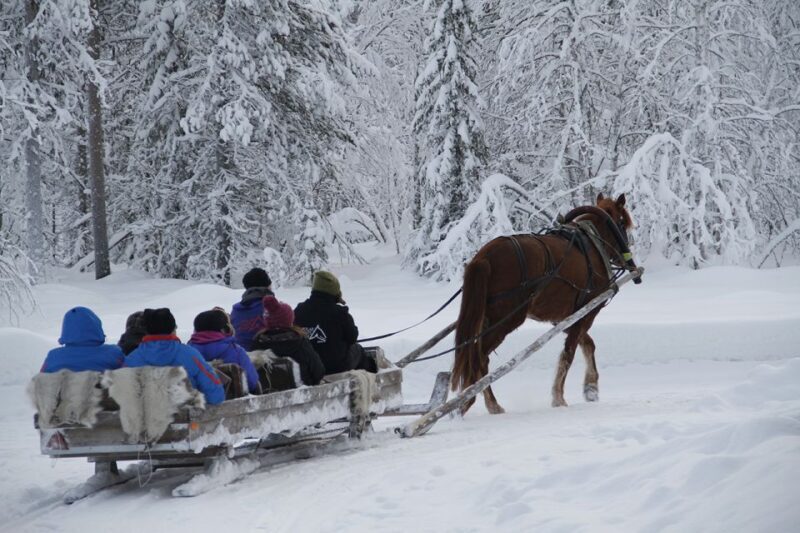 Levi: One Horse Open Sleigh Ride - FAQ