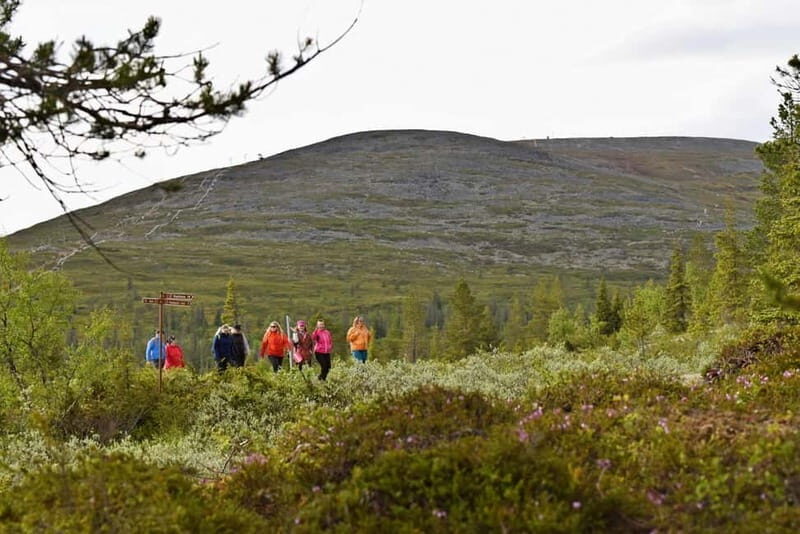 Levi: Pallas Panoramic Hike - Why This Tour Is a Solid Choice