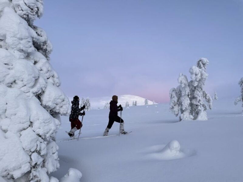 levi-pallas-yllastunturi-national-park-snowshoeing-tour