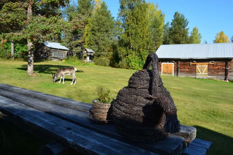 Levi: Peaceful Paddle on Ounasjoki River - What to Expect During the Tour