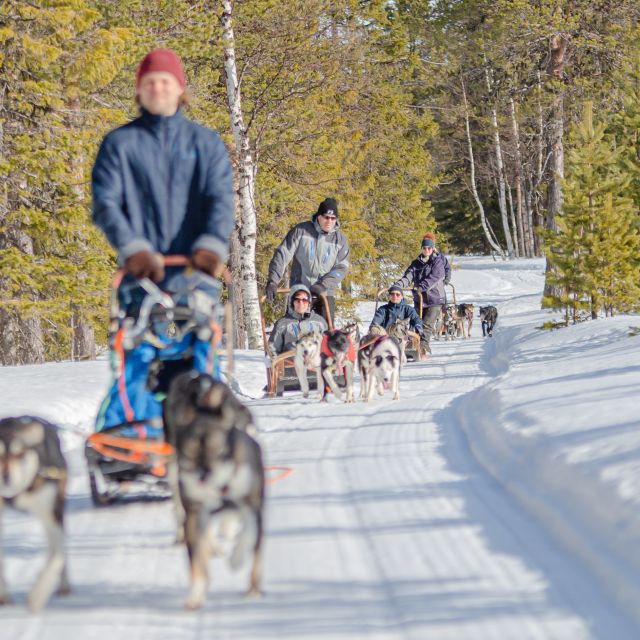 levi-polar-lights-tours-reindeer-and-husky-taster