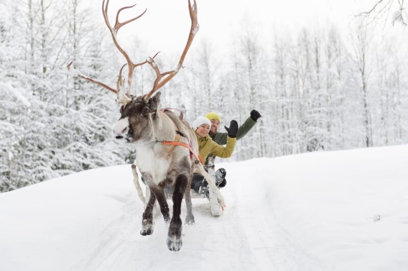 Levi: Reindeer Experience with Sled Ride - FAQ