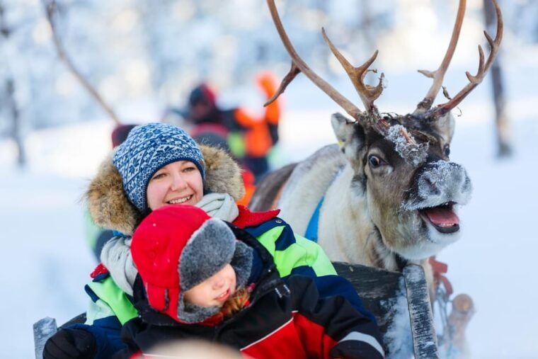 levi-reindeer-sleigh-ride-tour-in-snowy-forest