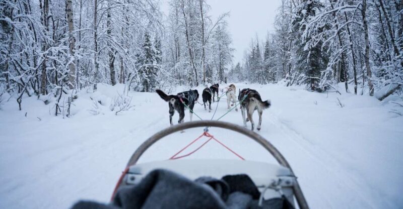 Levi: Self-Drive Guided Husky Tour - FAQs