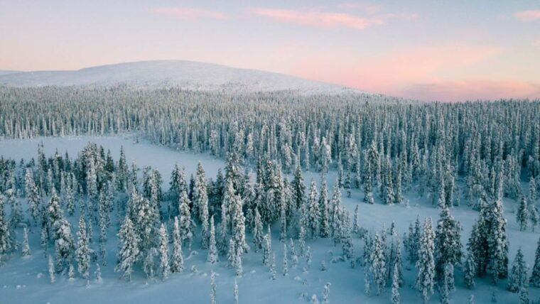 levi-snowshoe-adventure-in-the-wilderness