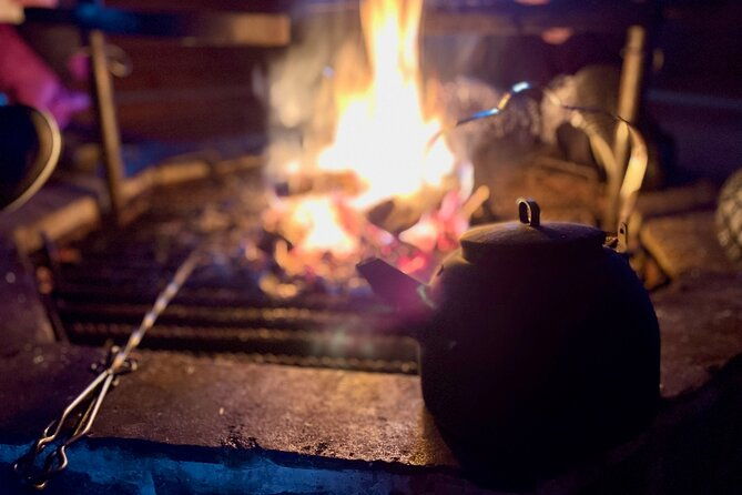 levi-snowshoeing-adventure-in-the-national-park-3