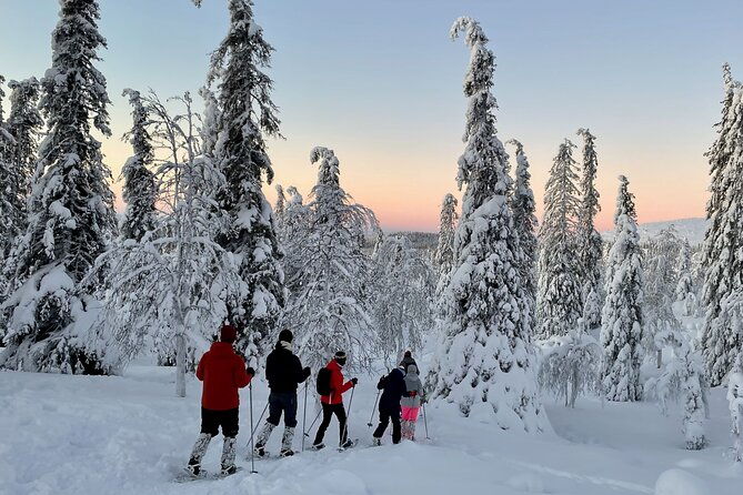 levi-snowshoeing-adventure-in-the-national-park