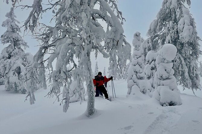 levi-snowshoeing-adventure-in-the-national-park