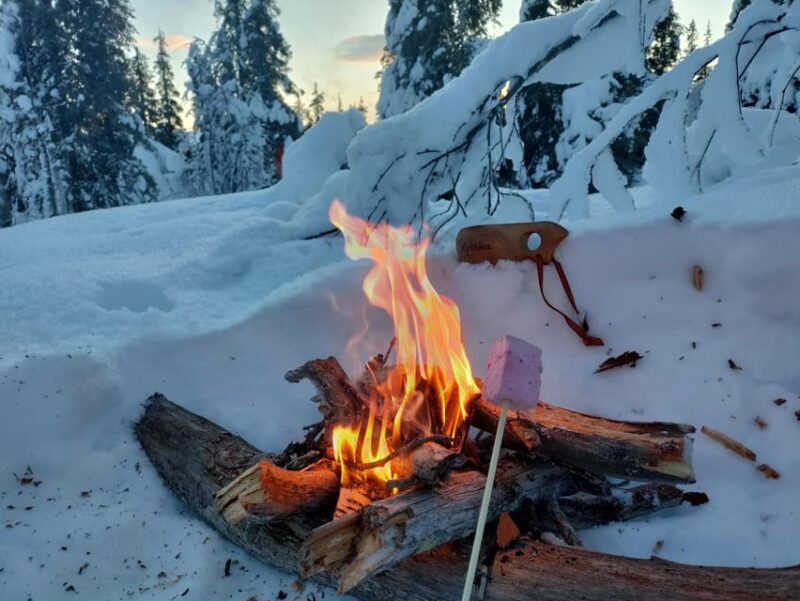 levi-snowshoeing-and-marshmallow-grilling-in-the-snow