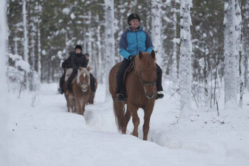 levi-snowy-forest-ride-and-polar-lights-tours