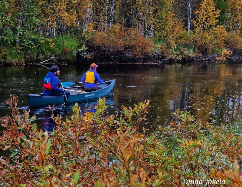 Levi: Wilderness Canoeing on the Kapsajoki River - Scenic Sandbank Stops and Lunch