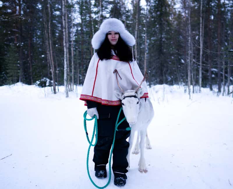 Levi: Winter Wilderness Husky & Reindeer Safari Combo Tour - A Close Look at the Itinerary and Experience
