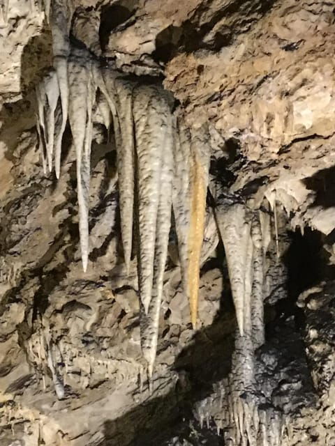 levigliani-visit-in-the-cave-antro-del-corchia