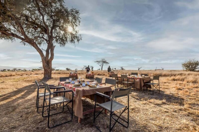Lewa Wildlife Conservancy: 3-Day Private Safari Adventure - Final Thoughts