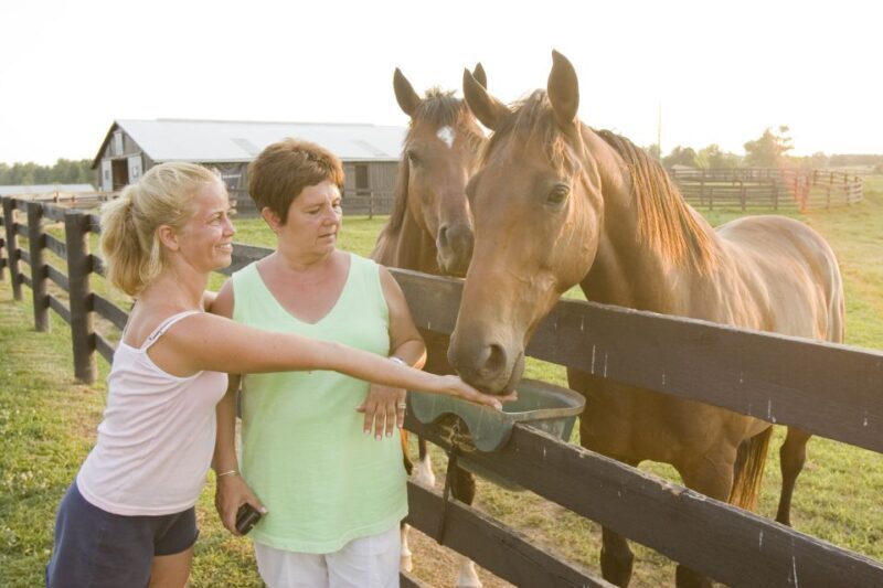 Lexington: Thoroughbred Horse Farm Tour and Scenic Bluegrass - Key Points