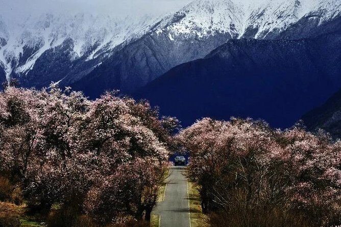 Lhasa Private Arrival Transfer: Railway Station to Hotel - The Logistics of the Transfer