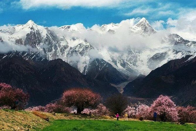 Lhasa Private Arrival Transfer: Railway Station to Hotel - What You Might Want to Know