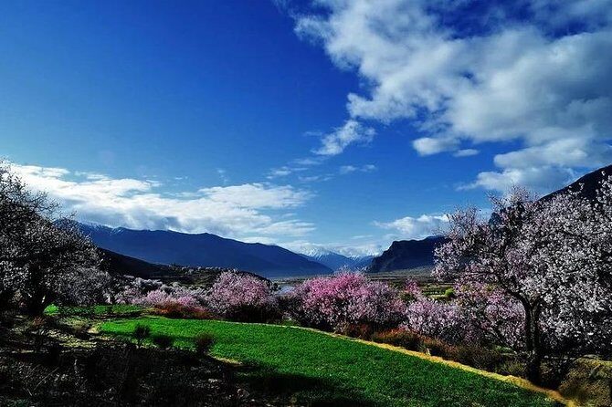 Lhasa Private Departure Transfer: Hotel to Railway Station - The Sum Up