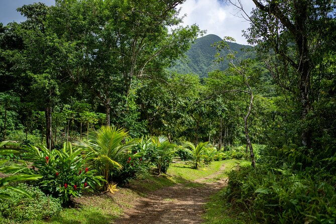 liamuiga-natural-farm-tour