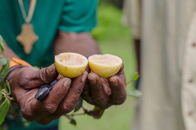 liamuiga-natural-farm-tour