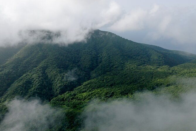 liamuiga-natural-farm-tour