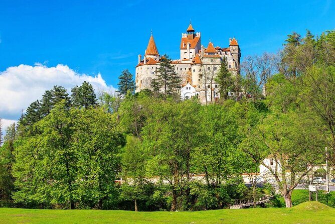 Libearty Bear Sanctuary and Dracula's Castle - Day Tour from Bucharest - An Authentic Day Out in Romania: Visiting Bears and Dracula’s Castle