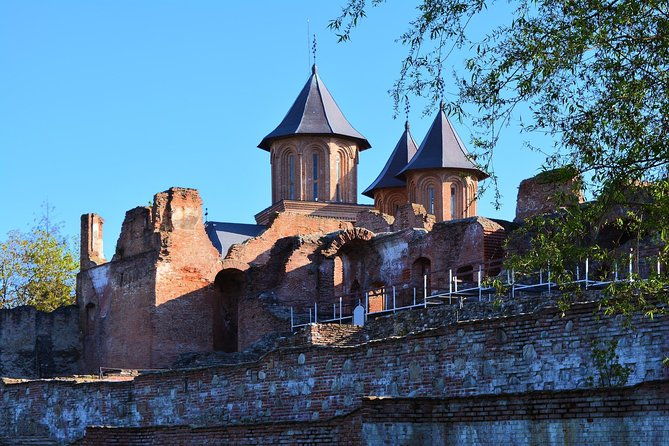 libearty-brown-bear-sanctuary-and-the-real-dracula-tour