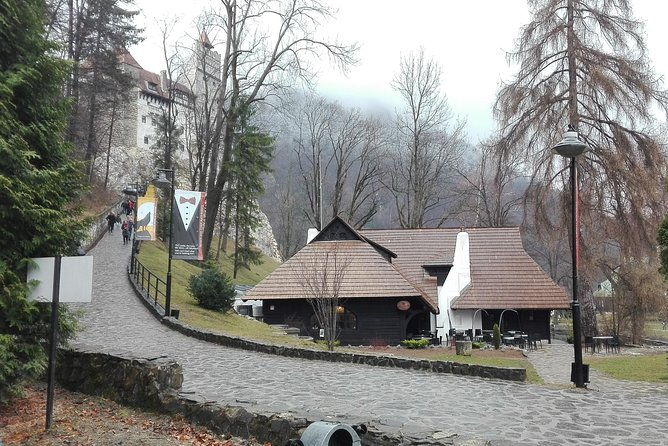 libearty-the-brown-bear-sanctuary-from-zarnesti