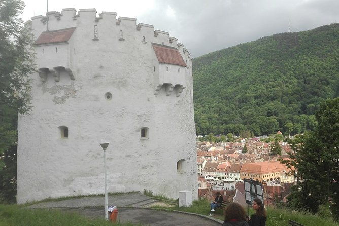 libearty-the-brown-bear-sanctuary-from-zarnesti