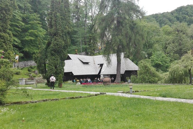 libearty-the-brown-bear-sanctuary-from-zarnesti