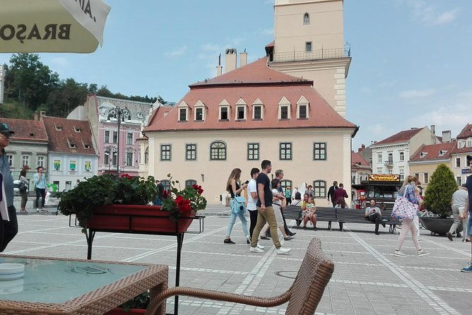 libearty-the-brown-bear-sanctuary-from-zarnesti