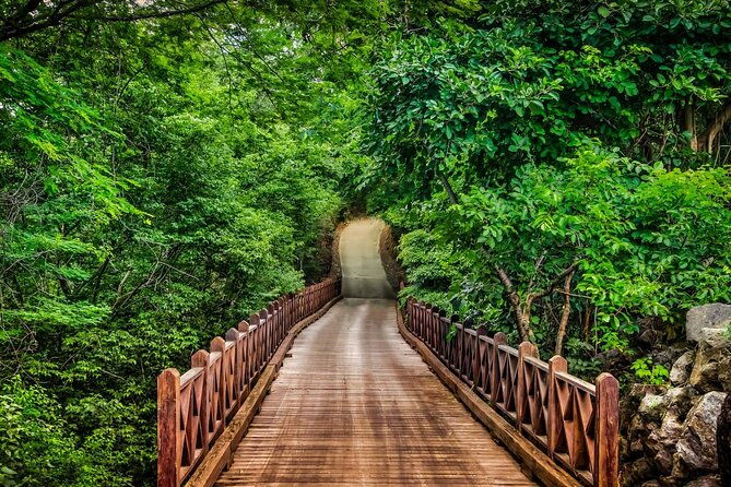 liberia-airport-private-transfer-to-gulf-of-papagayo-costa-rica