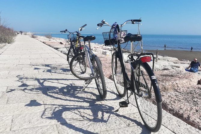 lido-bike-tour-with-a-local-on-the-island-of-cinema-2