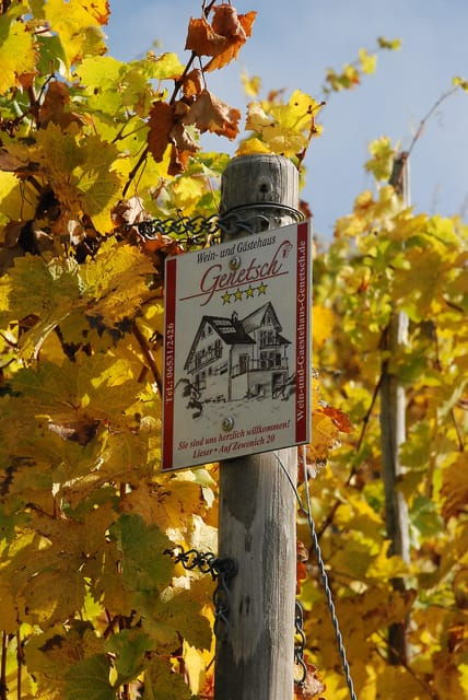 lieser-covered-wagon-ride-the-rolling-wine-tasting-with-picnic-basket