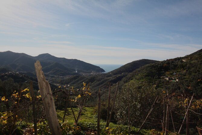lievantu-wine-experience