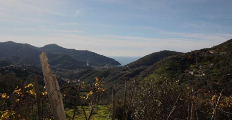 lievantu-wine-experience-tour-tasting-in-levanto-valley