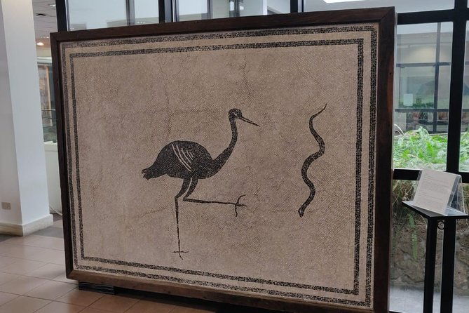 lifestyle-of-the-ancient-rich-domus-villa-in-pompeii-oplontis-and-boscoreale