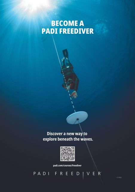 ligaria-beach-discover-free-diving-apnea