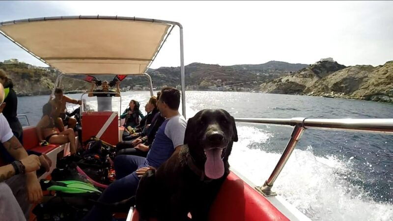 ligaria-snorkeling-trip-with-motor-boat-around-agia-pelagia