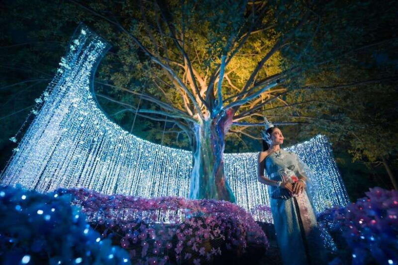 light-festival-at-na-satta-park-magical-once-a-year-moment