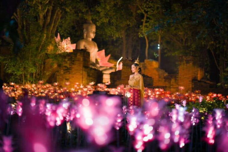 light-festival-at-na-satta-park-magical-once-a-year-moment